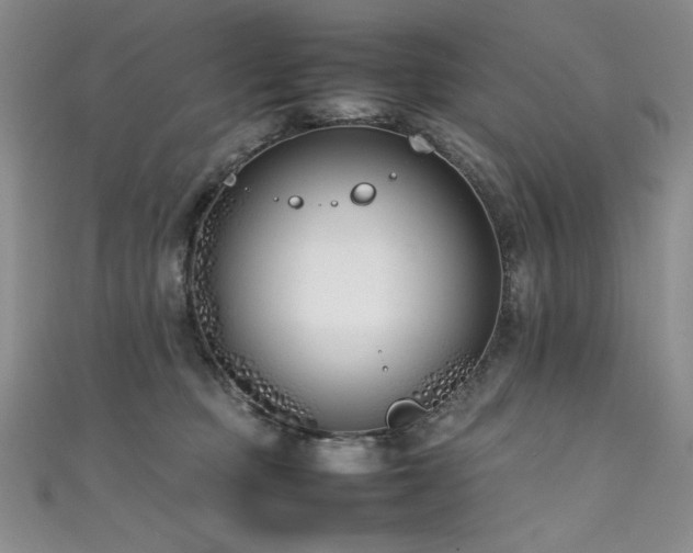 X0000111490373200907141243