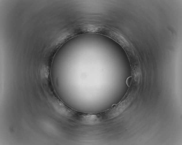 X0000111490374200907141243