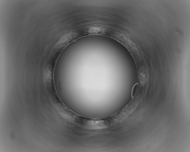 X0000111490375200907141243