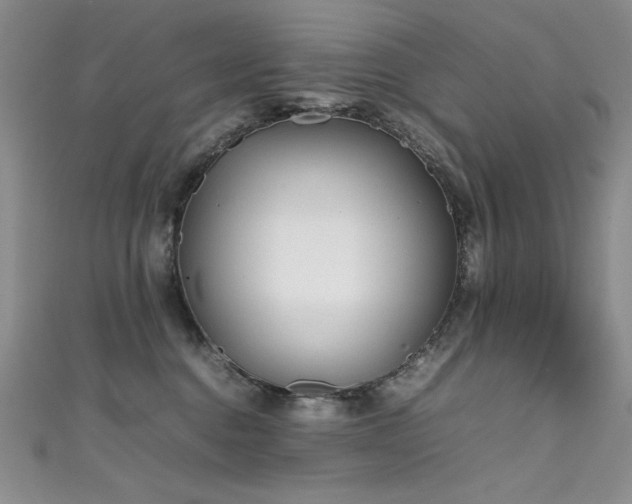 X0000111490376200907141243