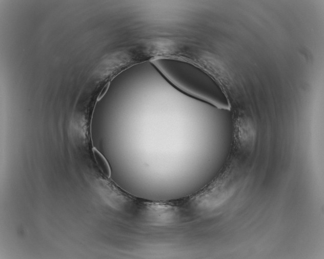X0000111490380200907141243