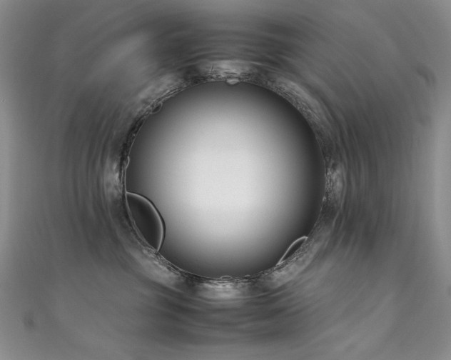 X0000111490381200907141243