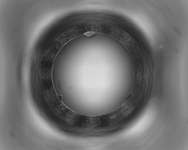 X0000111490383200907141244