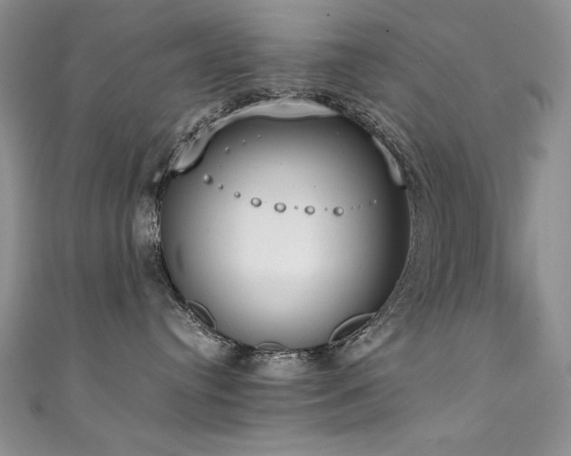 X0000111490384200907141244