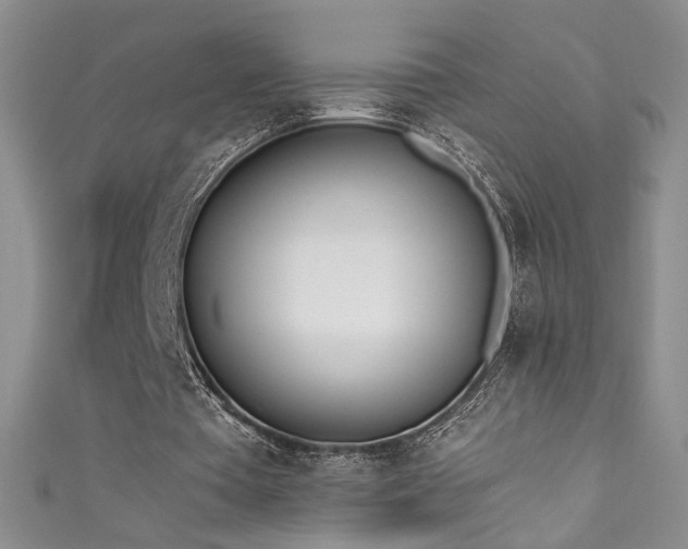 X0000111490385200907141243