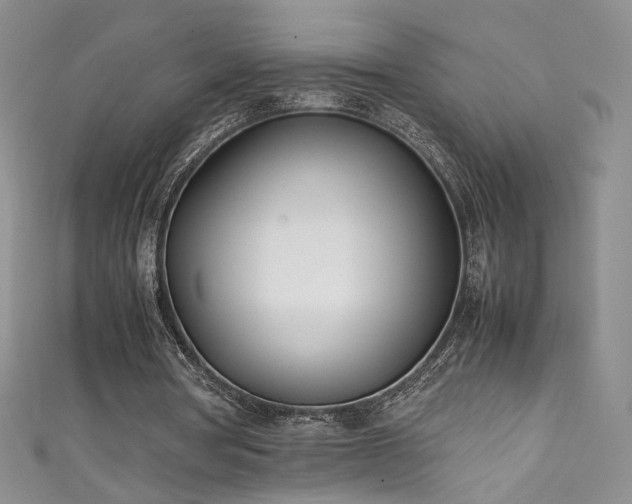 X0000111490386200907141243
