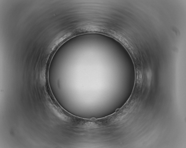 X0000111490390200907141243