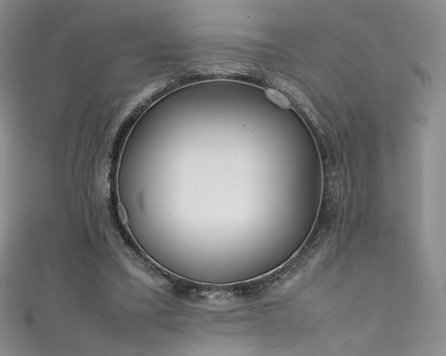 X0000111490395200907141243
