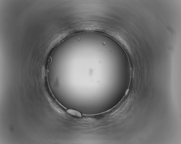 X0000111490397200907141243