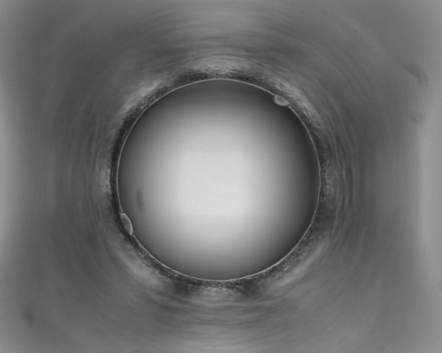 X0000111490399200907141243
