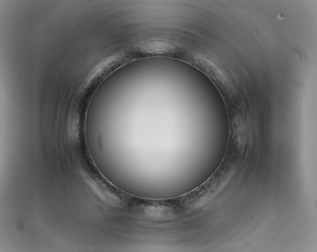 X0000111490400200907141243