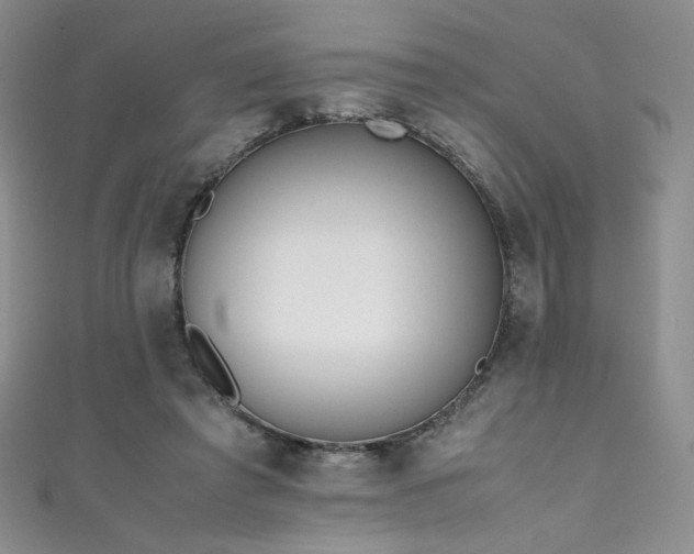 X0000111490401200907141243