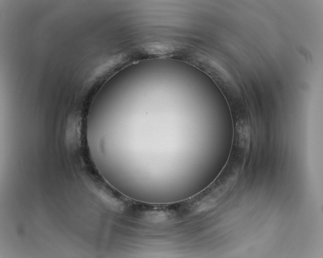 X0000111490404200907141242