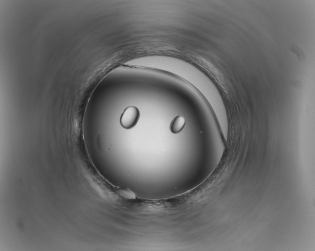 X0000111490405200907141242