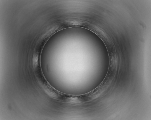 X0000111490406200907141242