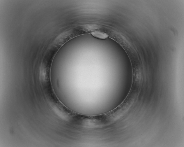 X0000111490408200907141242