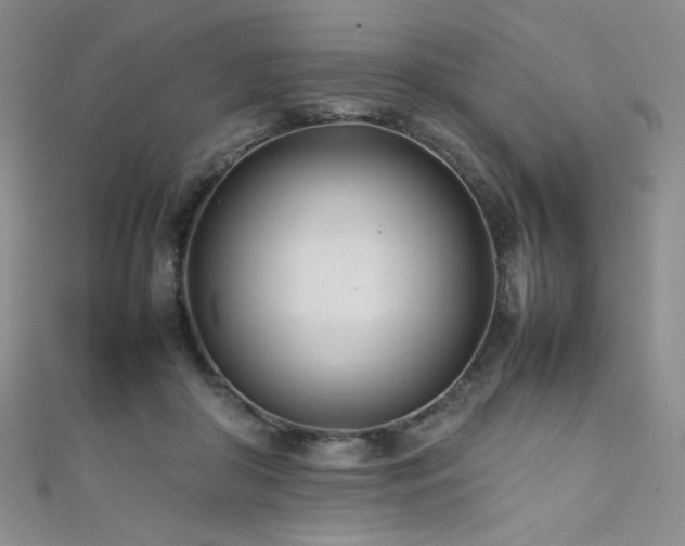 X0000111490410200907141242
