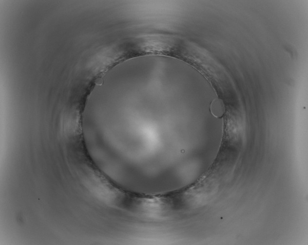 X0000111490411200907141242