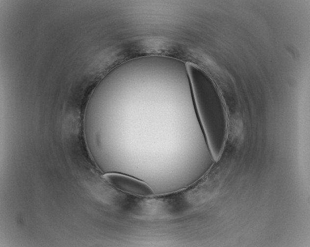 X0000111490413200907141242