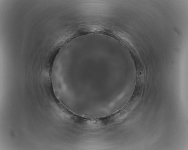 X0000111490415200907141242