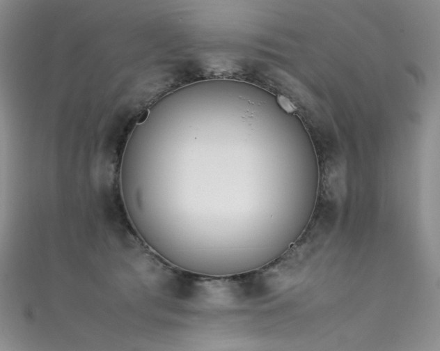 X0000111490417200907141242