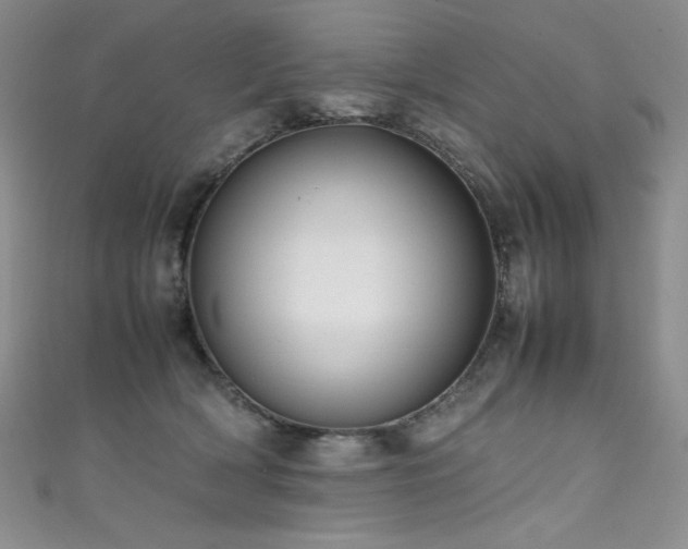 X0000111490418200907141242