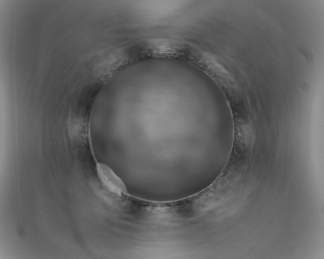 X0000111490419200907141242