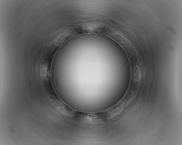 X0000111490420200907141242