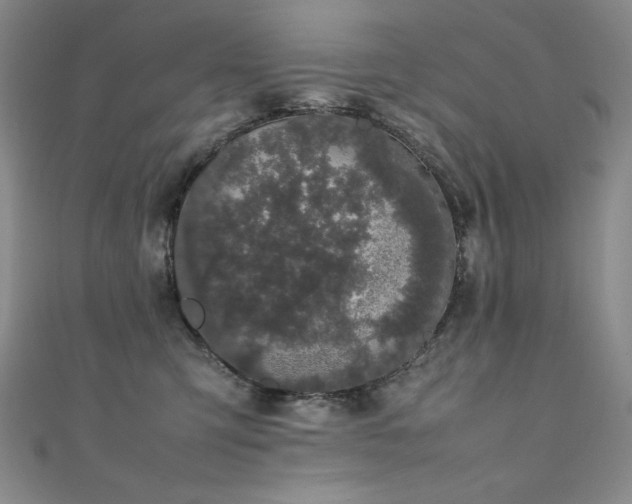 X0000111490423200907141242
