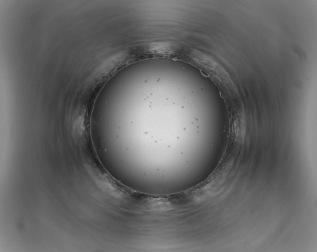 X0000111490424200907141242