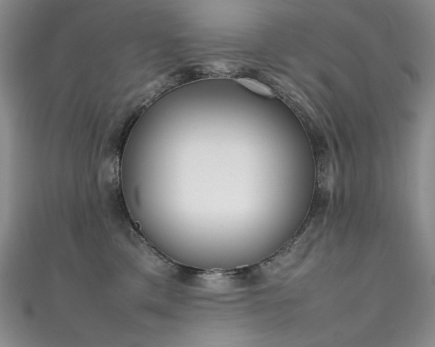 X0000111490425200907141242