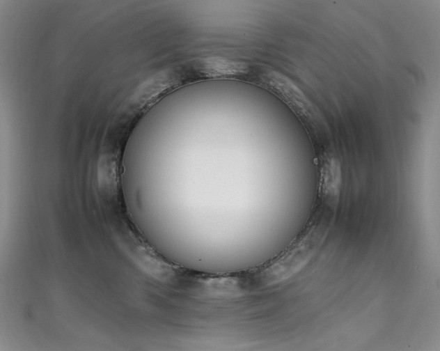 X0000111490426200907141242
