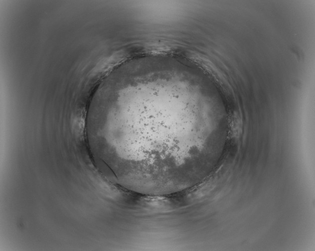 X0000111490427200907141242