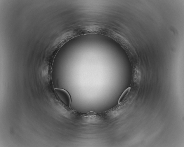 X0000111490428200907141242