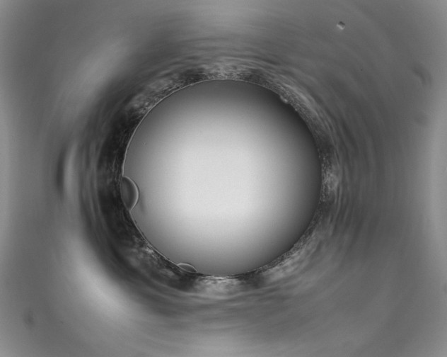 X0000111490429200907141242