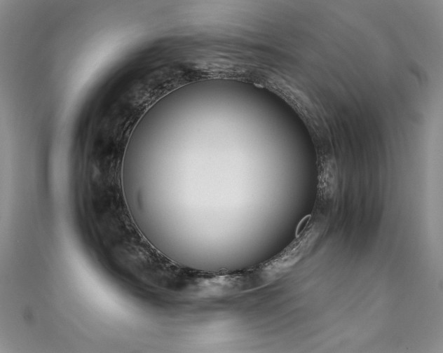 X0000111490430200907141242