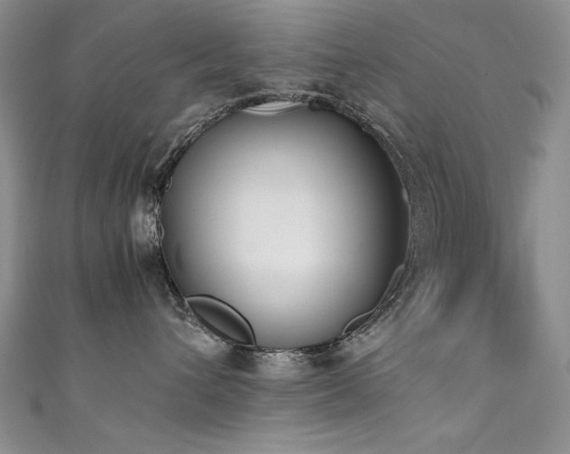X0000111490432200907141242