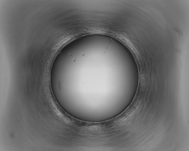 X0000111490433200907141242