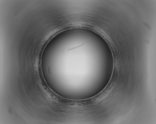 X0000111490434200907141242