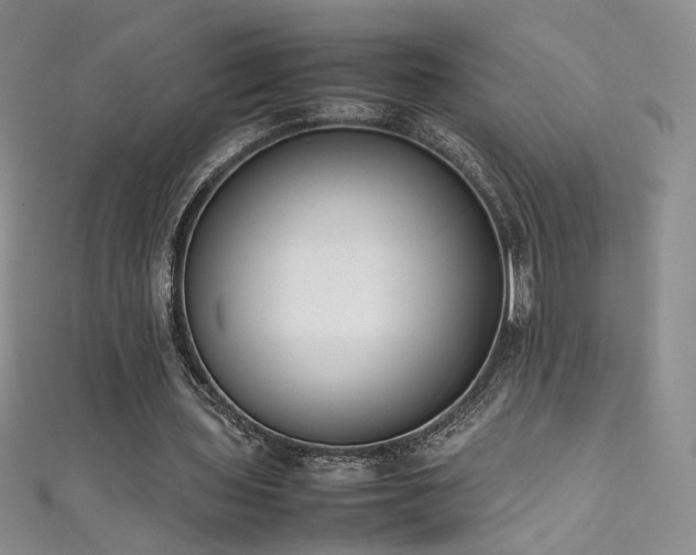 X0000111490435200907141242