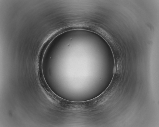 X0000111490436200907141242