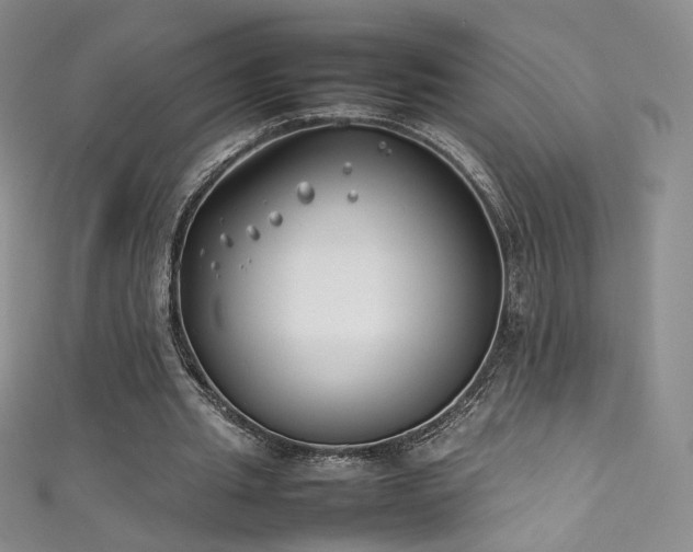 X0000111490437200907141242