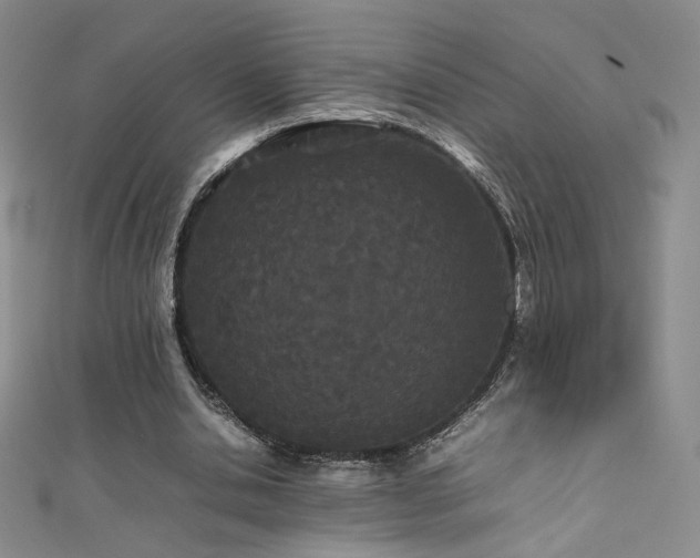 X0000111490438200907141242
