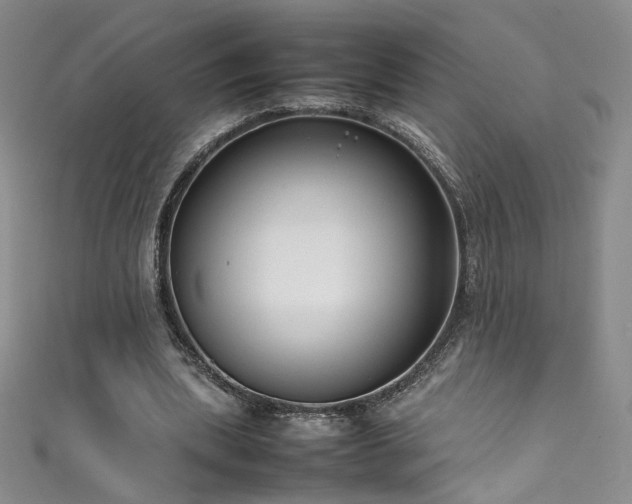 X0000111490439200907141242