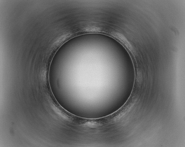 X0000111490441200907141242