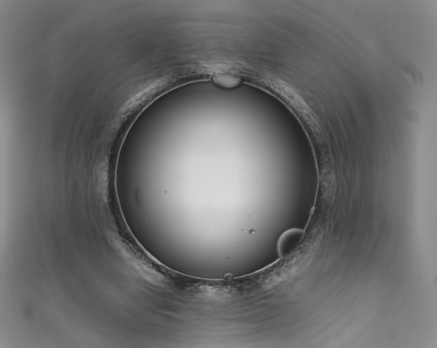 X0000111490442200907141242