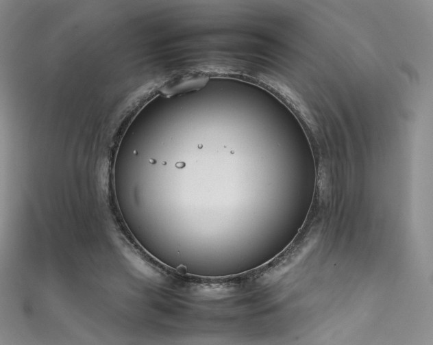 X0000111490445200907141242