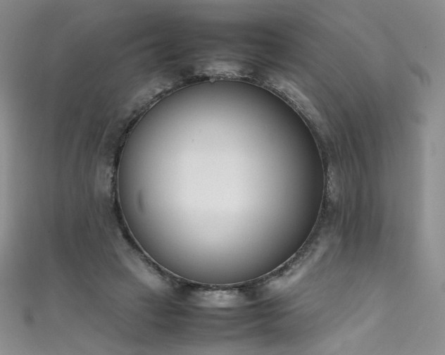 X0000111490449200907141242