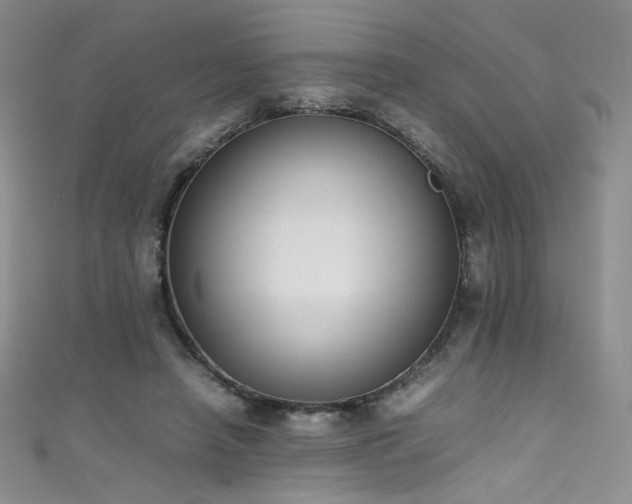 X0000111490450200907141242