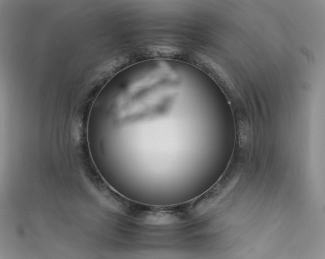 X0000111490451200907141242